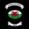 Wales Rugby Design Tapestry Official Rugby Merch